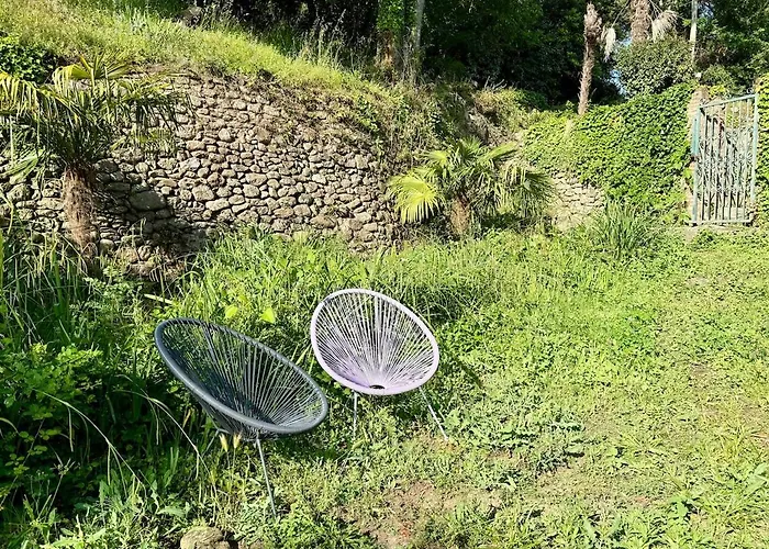 L Olivier Charme Et Nature